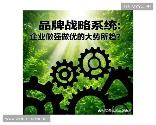 企业家视角下的企业核心价值与战略发展路径探讨