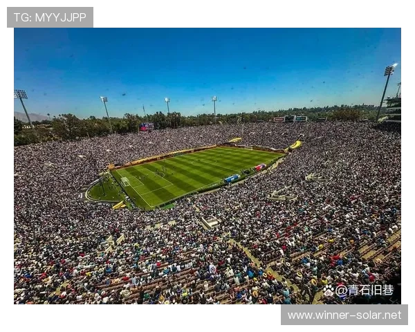水晶宫球迷花720镑却看不到全场景